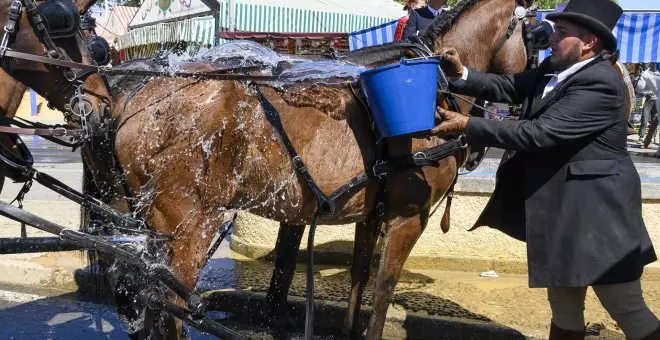 Maltrato animal en la Feria de Abril de Sevilla: cuando la fiesta se convierte en tortura