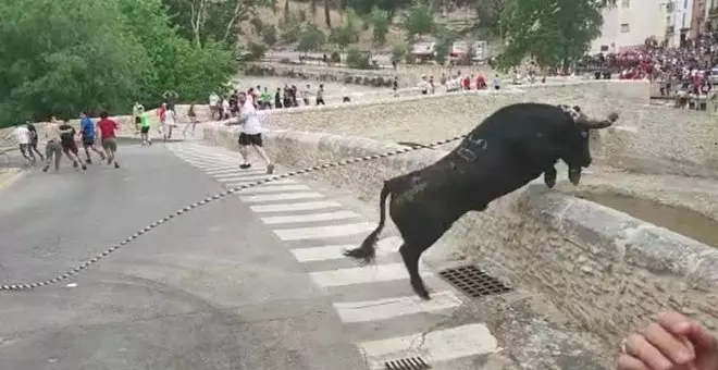 Un toro ensogado es sacrificado en Ontinyent tras saltar un muro y precipitarse desde una altura de 15 metros