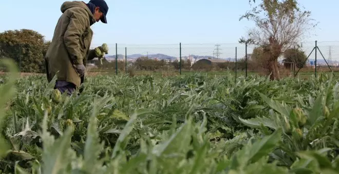 L'Institut Agrícola demana revisar la normativa del Parc Agrari per contradiccions amb normatives superiors