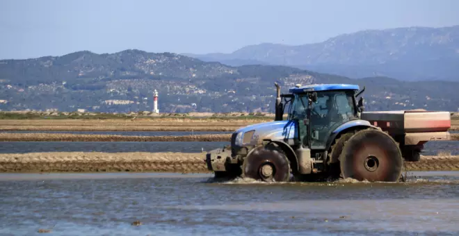 Els arrossaires del Delta sembren amb més incerteses que esperança per les restriccions d'aigua