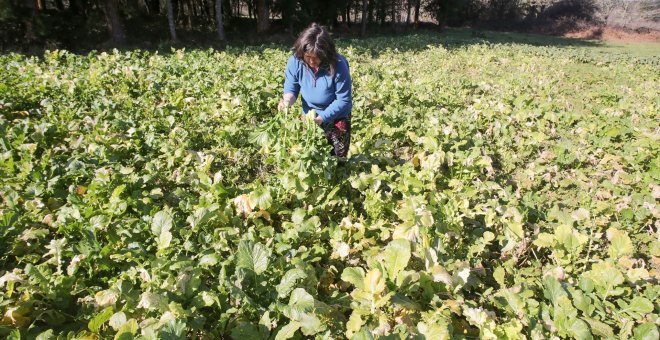 Las mujeres rurales reivindican el terreno ganado: "Estamos en la agenda; no solo en la mediática, sino también en la política"