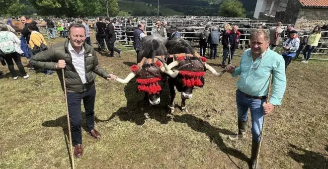 760 reses de 30 ganaderías, en la II Feria de las Flores de San Vicente del Monte