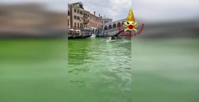 Las aguas del Gran Canal de Venecia aparecen teñidas de verde