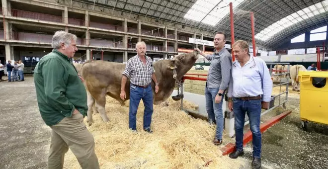 Torrelavega celebra la VII Feria Agroganadera de Razas Cárnicas