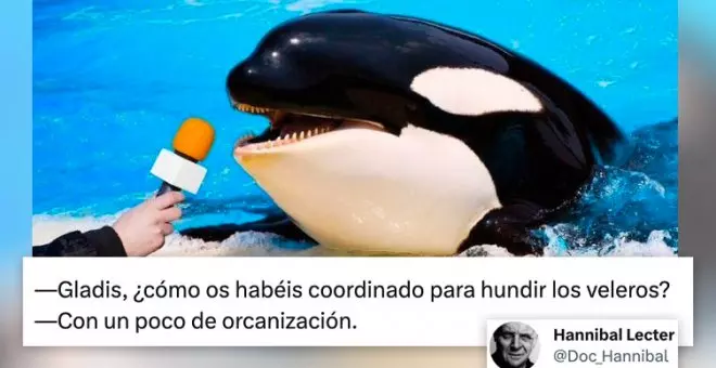 Cachondeo con la orca "comunista" Gladis que rompe yates y veleros: "¿Sabemos si apoya la unidad de la izquierda?"