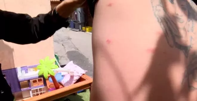 Plaga de mosquitos en Castellón