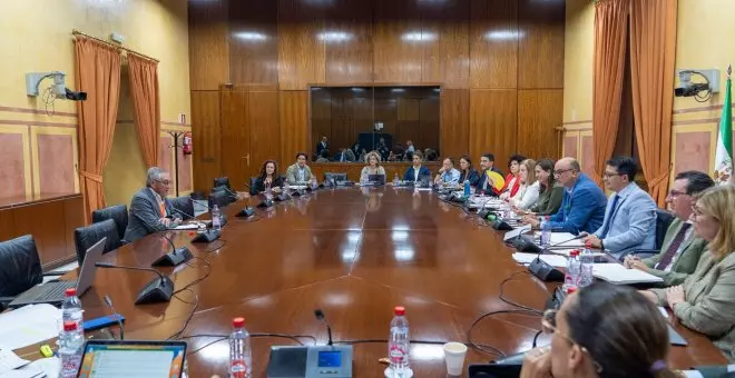 Miguel Delibes en el Parlamento andaluz, al PP sobre Doñana: "Tengan el coraje político de retirar la ley"