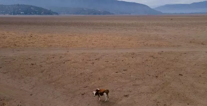 Vuelve el fenómeno El Niño: así afectará a las temperaturas a nivel global