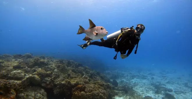 Los peces no existen (y te explicamos por qué)