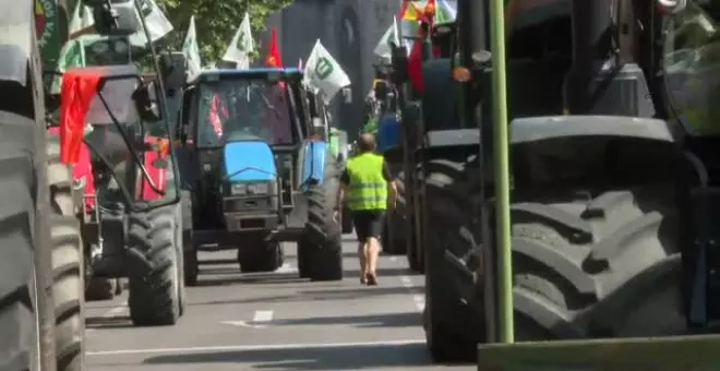 Los agricultores exigen en Madrid ayudas directas para paliar los efectos de la sequía