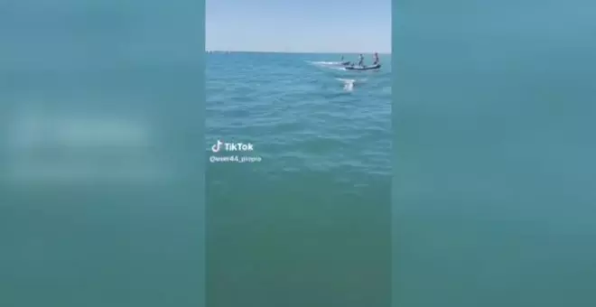 Una orca sorprende a los bañistas de una playa de Huelva