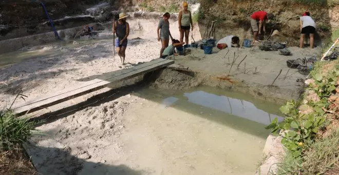 Troben a la Draga de Banyoles les evidències més antigues de gestió forestal