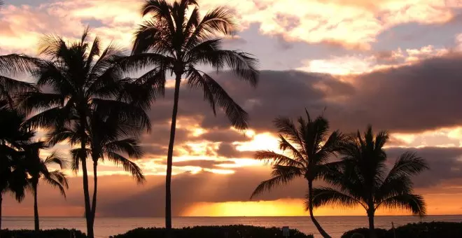 Playas de leyenda / ¿Existe Waikiki?