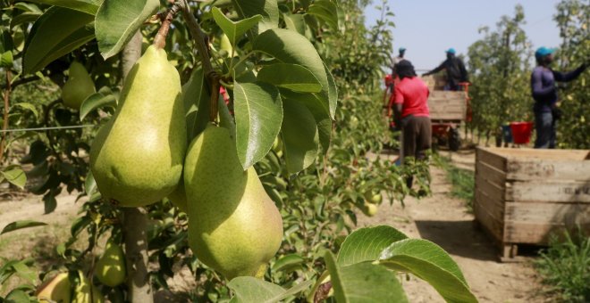 La manca d'inspectors frena el compliment de les mesures de protecció laboral davant l'onada de calor