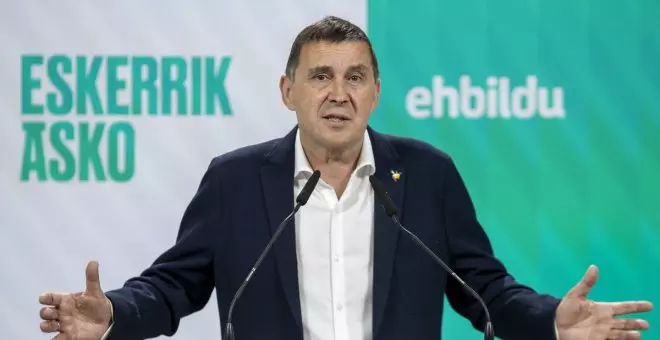 Arnaldo Otegi cree que la "ventana de oportunidad" de un Gobierno progresista sigue abierta