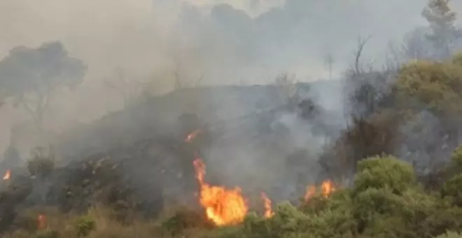 Continúan las llamas en ocho regiones del noroeste de Argelia