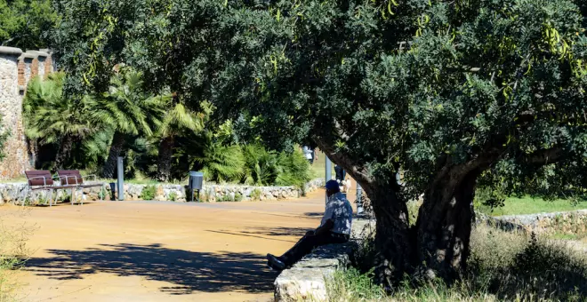 Més de mig milió de persones de l'Àrea Metropolitana viuen en zones molt vulnerables a la calor