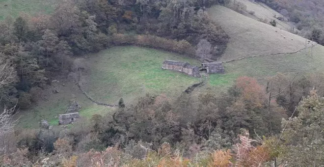 Encuentran más de 30 vacas muertas en una cabaña de San Roque de Riomiera