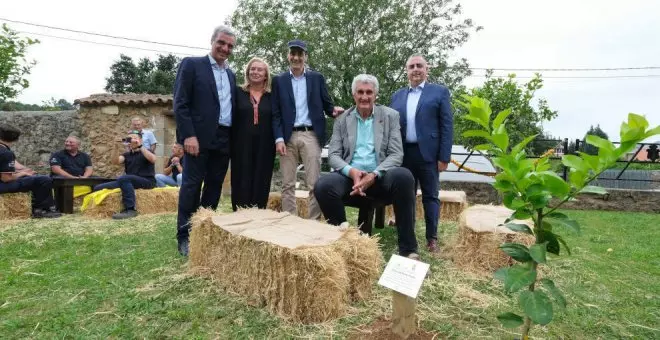 Gran acogida en la 12ª edición de los 'Limones Solidarios' de Novales