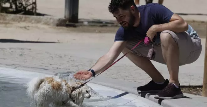 Cómo reconocer los síntomas de un golpe de calor