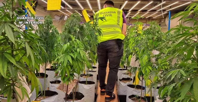 Ingresa en prisión un hombre por una plantación de marihuana en una casa de Revilla de Camargo