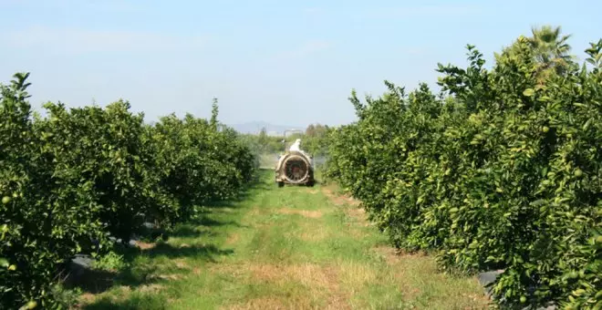 Cantabria es la comunidad con menos contrataciones en agricultura de España