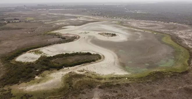 Santa Olalla, la laguna más grande de Doñana, se seca por segundo año consecutivo