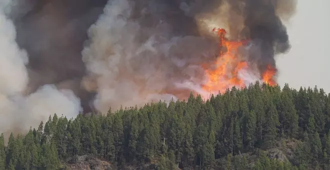 El incendio de Tenerife da un respiro al normalizar su avance, pero sigue sin control