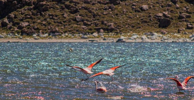 Laguna Huaraco: un viaje a la Argentina más bella y desconocida