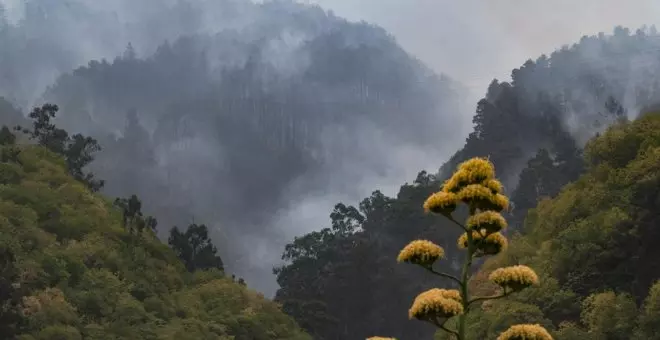 El incendio de Tenerife sigue fuera de capacidad de extinción