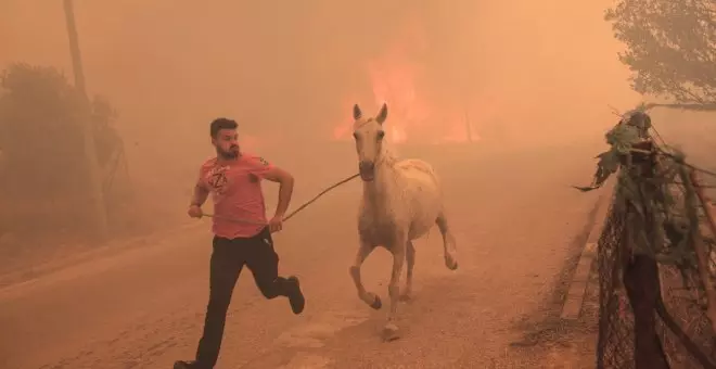 Hallados los cuerpos calcinados de al menos 27 migrantes atrapados en los incendios de Grecia