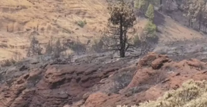 Estabilizado el incendio de Tenerife