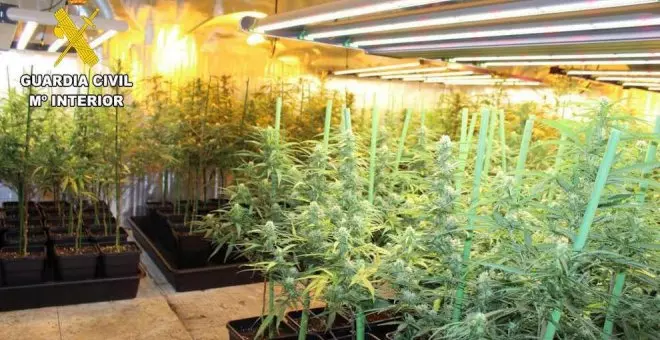 Desmantelan una plantación de marihuana en el sótano de una vivienda de Sierrapando