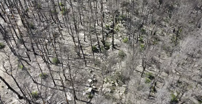 Un dron busca restes òssies de soldats de la Guerra Civil a la zona de l'incendi de Corbera d'Ebre