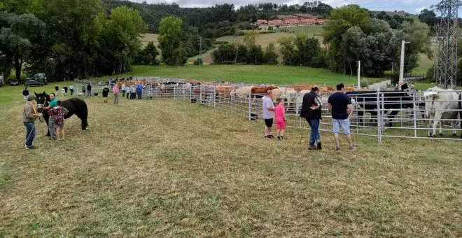 Suspendida la feria ganadera de 'San Ciprianuco' ante el avance de la enfermedad hemorrágica epizoótica