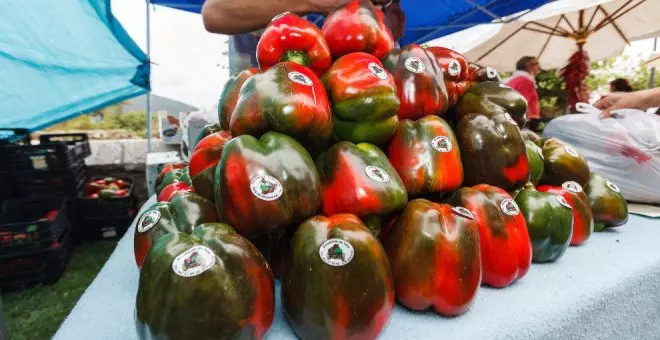 Isla acoge las Ferias del Pimiento y del Vino Costa de Cantabria