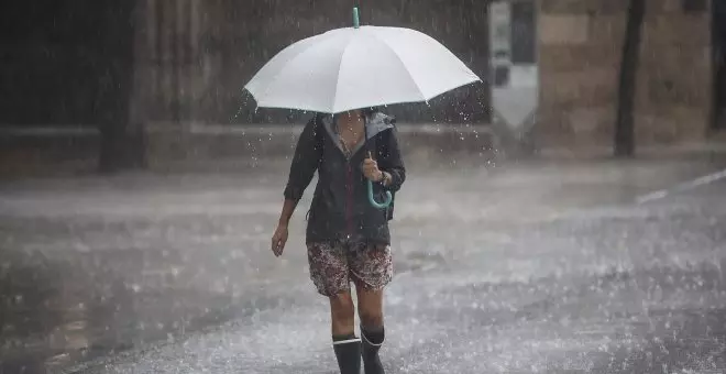 Las tormentas provocan la caída de árboles y cortes en el transporte en València y Castelló