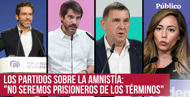 Esto es lo que opinan los partidos sobre los avances hacia la amnistía