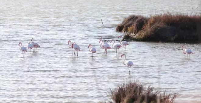 La Fiscalía abre diligencias por la extracción de agua en Doñana