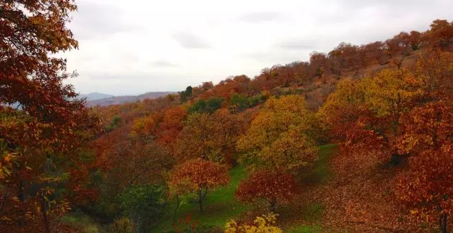 Aire Libre Otoño: Cientos de fiestas de las castañas entre bosques multicolores