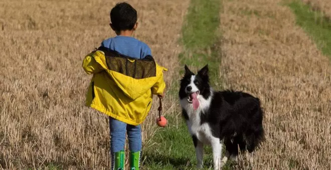 España tiene el doble de mascotas que de niños