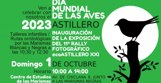 Astillero celebra este domingo el Día de las Aves con paseos, talleres y juegos