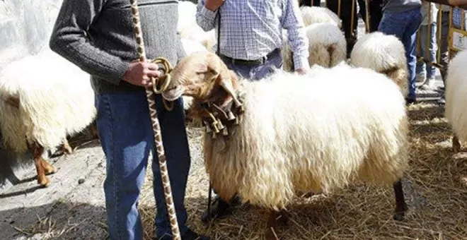 Arredondo celebrará su tradicional Feria de Todos los Santos