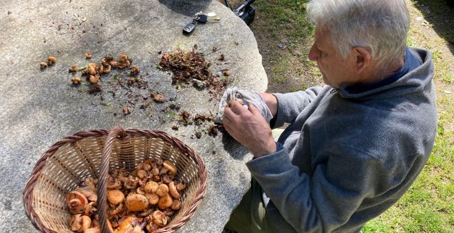 Comença la temporada de bolets: aquests són els més comuns a casa nostra