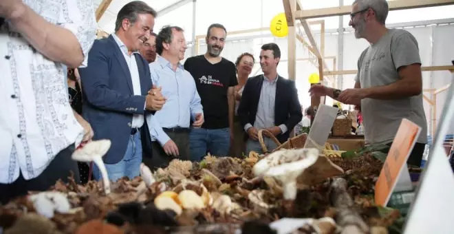 Más de una veintena de productores participan en el Mercado de Granjeros