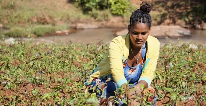 Los efectos del estancamiento de la lucha contra el hambre en el mundo recaen en los jóvenes