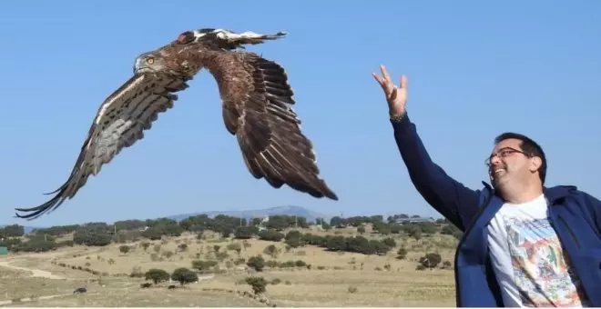 Cómo apadrinar/amadrinar un olivo, búho, colmena o roca