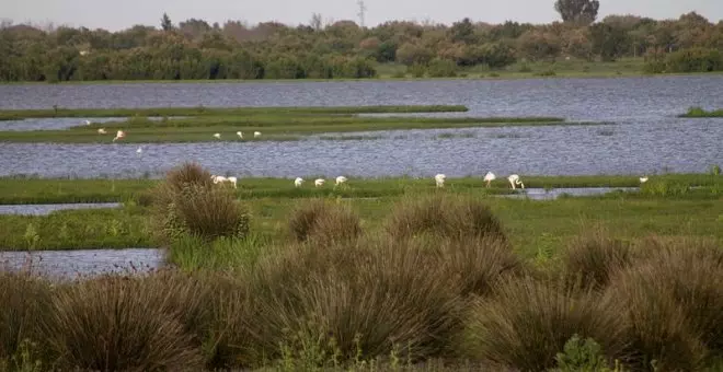 España avanza en la protección de su naturaleza con la ley en la mano