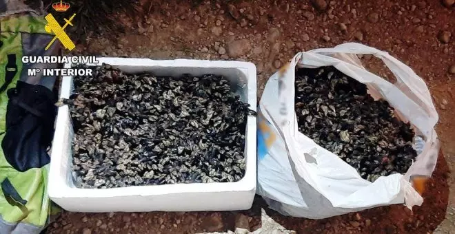 Interceptado un furtivo con 15 kilos de percebes en los acantilados de Alfoz de Lloredo