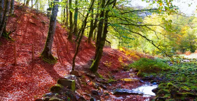 Diez rincones para enamorarse de Navarra este otoño